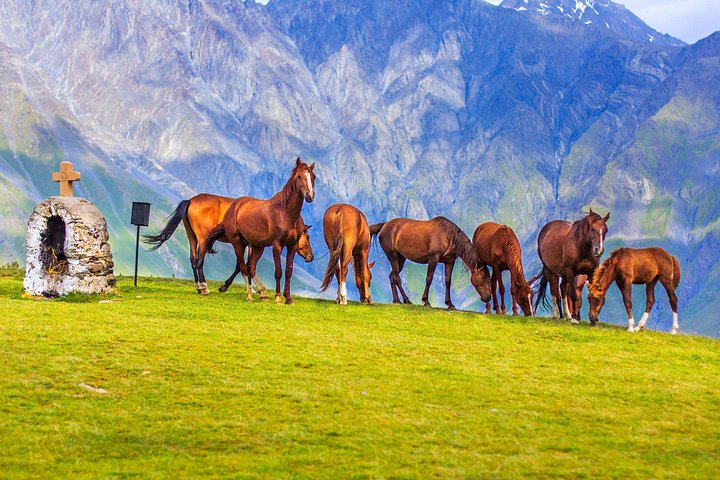 Naturskjønn tur i Kaukasusfjellene, Georgia, med Ananuri festning, Gudauri og Kazbegi, foto 16 | wizardtrip
