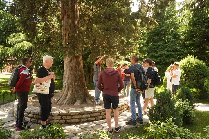 Tour cénico pela região vinícola de Kakheti, Geórgia, com degustação de vinhos e visitas culturais, foto 12 | wizardtrip