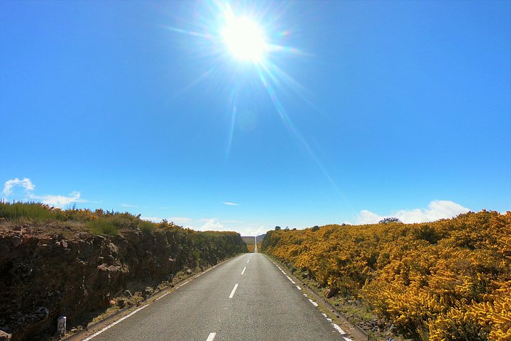 Tour 4x4 explorando la costa norte de Madeira, incluyendo el Bosque de Fanal y Porto Moniz, foto 17 | wizardtrip