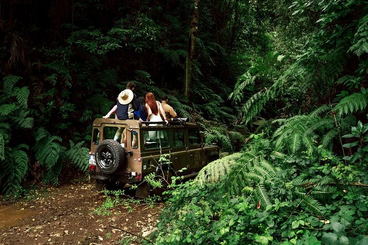 Tour 4x4 explorando la costa norte de Madeira, incluyendo el Bosque de Fanal y Porto Moniz, foto 21 | wizardtrip