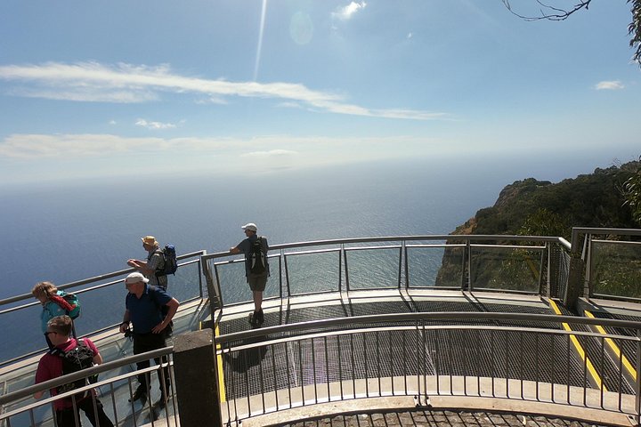 Tour 4x4 explorando la costa norte de Madeira, incluyendo el Bosque de Fanal y Porto Moniz, foto 27 | wizardtrip