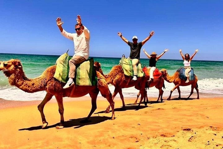 Tour guidato privato di Tangeri, Marocco, con traghetto e giro in cammello, foto 7 | wizardtrip