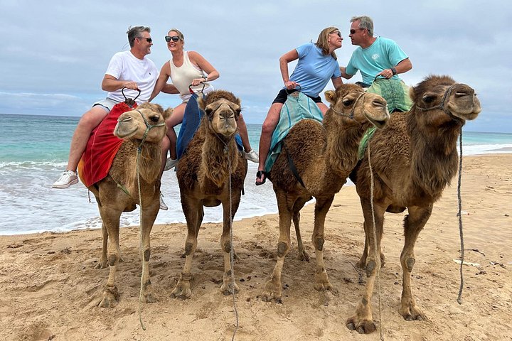 Tour guidato privato di Tangeri, Marocco, con traghetto e giro in cammello, foto 9 | wizardtrip