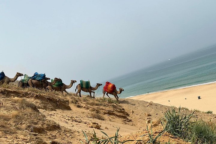 Tour guidato privato di Tangeri, Marocco, con traghetto e giro in cammello, foto 15 | wizardtrip