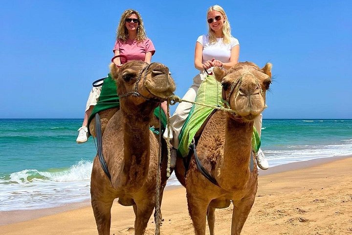 Tour guidato privato di Tangeri, Marocco, con traghetto e giro in cammello, foto 18 | wizardtrip