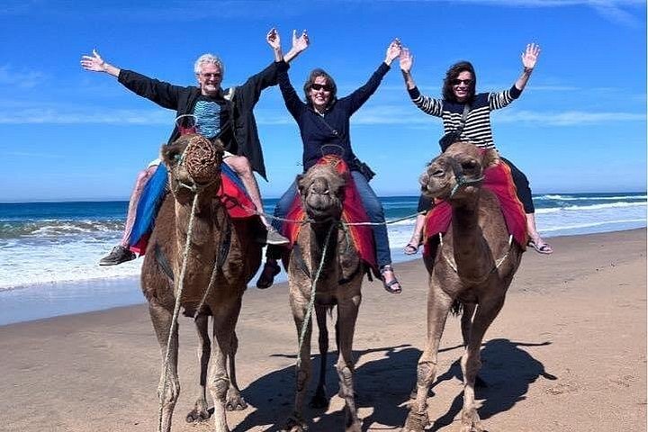 Tour guidato privato di Tangeri, Marocco, con traghetto e giro in cammello, foto 22 | wizardtrip