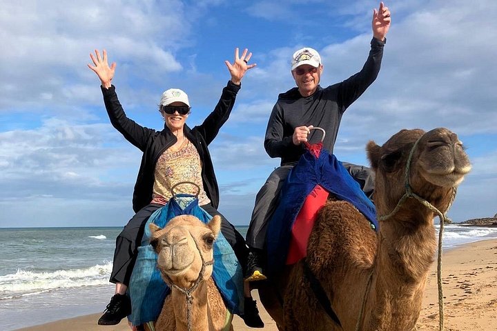 Tour guidato privato di Tangeri, Marocco, con traghetto e giro in cammello, foto 26 | wizardtrip