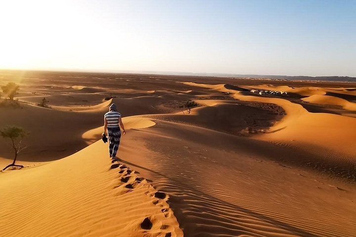 Experience a thrilling desert safari in Dubai with dune bashing, quad biking, camel rides, and a BBQ dinner under the stars, photo 13 | wizardtrip
