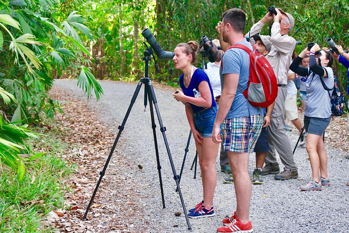 Wildlife en strandtour in Manuel Antonio National Park, Costa Rica, foto 9 | wizardtrip