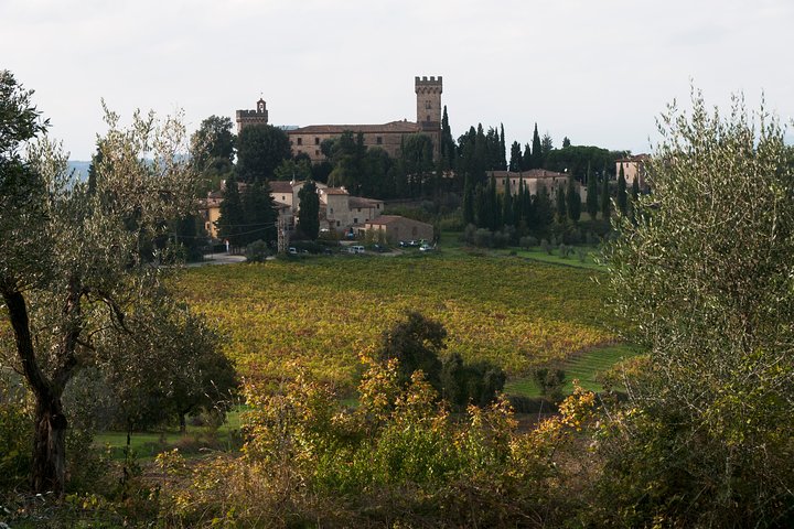 Guida una Vespa tra le colline del Chianti, goditi vigneti, uliveti e un pranzo tradizionale, foto 6 | wizardtrip