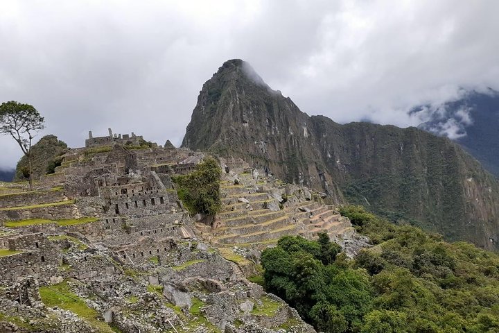 Dagtocht naar Machu Picchu vanuit Cusco, Peru, met de Inca-citadel en schilderachtige treinreizen, foto 20 | wizardtrip