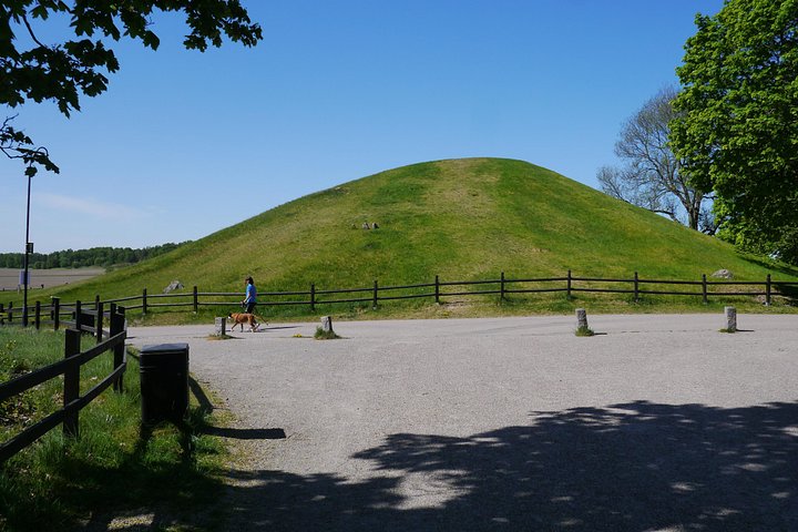 Explore a rica história Viking da Suécia com um passeio guiado a locais antigos e pedras rúnicas, foto 7 | wizardtrip
