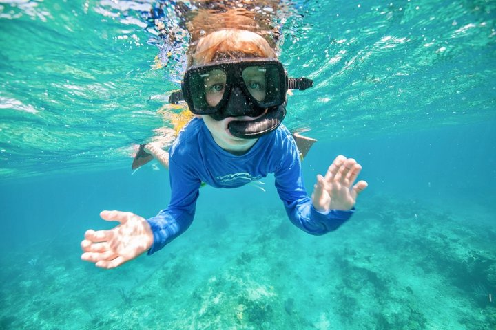 Croisière Matinale Demi-Journée depuis Providenciales avec Snorkeling et Île aux Iguanes | wizardtrip