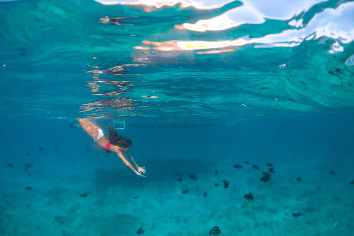 Nyt et halvdagscruise med båt i Providenciales, Turks & Caicos, med snorkling og øyutforskning, foto 8 | wizardtrip