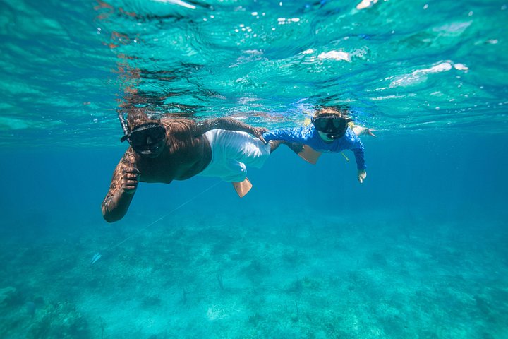 Nyt et halvdagscruise med båt i Providenciales, Turks & Caicos, med snorkling og øyutforskning, foto 10 | wizardtrip