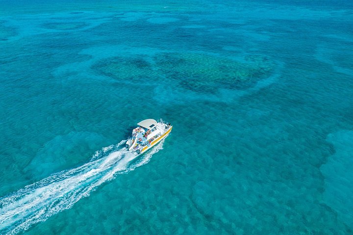 Nyt et halvdagscruise med båt i Providenciales, Turks & Caicos, med snorkling og øyutforskning, foto 14 | wizardtrip