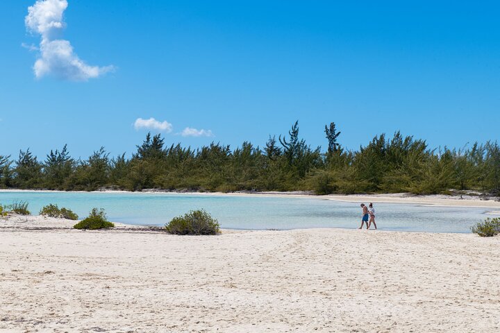 Nyt et halvdagscruise med båt i Providenciales, Turks & Caicos, med snorkling og øyutforskning, foto 15 | wizardtrip