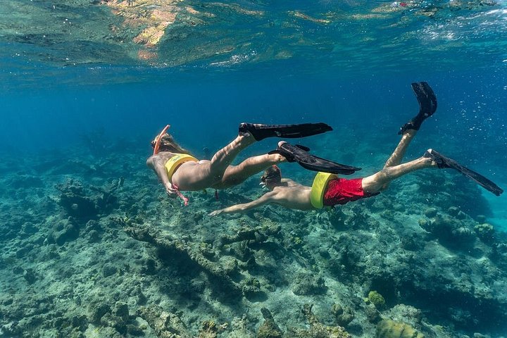 Nyt et halvdagscruise med båt i Providenciales, Turks & Caicos, med snorkling og øyutforskning, foto 21 | wizardtrip