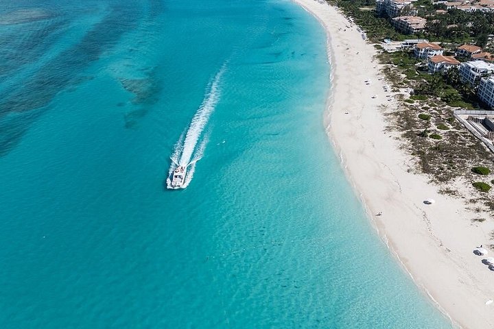 Nyt et halvdagscruise med båt i Providenciales, Turks & Caicos, med snorkling og øyutforskning, foto 23 | wizardtrip