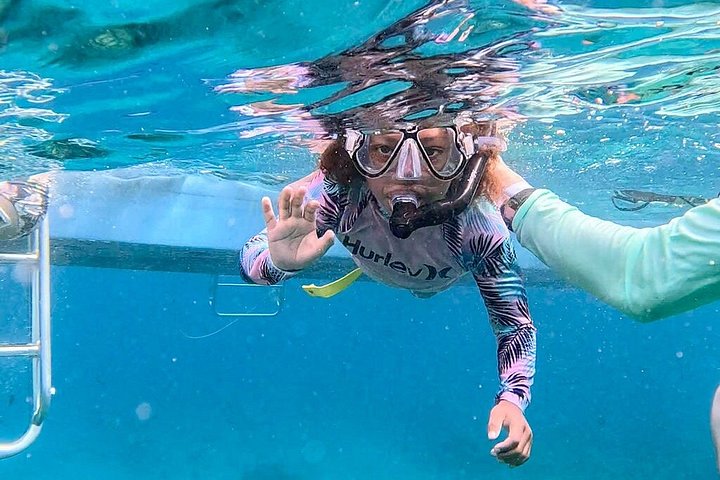 Nyt et halvdagscruise med båt i Providenciales, Turks & Caicos, med snorkling og øyutforskning, foto 24 | wizardtrip