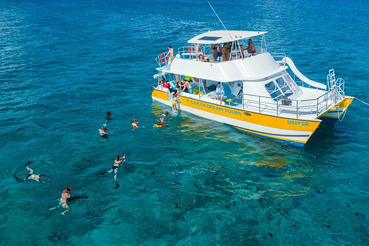 Croisière d'une demi-journée l'après-midi au départ de Providenciales avec snorkeling et Iguana Island | wizardtrip