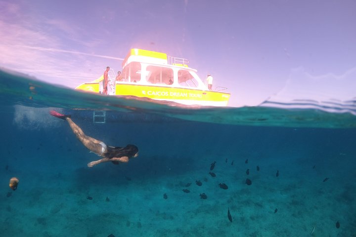 Genießen Sie eine halbtägige Bootsfahrt in Providenciales, Turks- und Caicosinseln, mit Schnorcheln und Leguan-Begegnungen, Foto 12 | wizardtrip