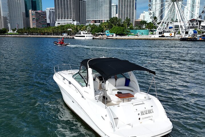 Private Yacht-Tour in Miami mit Stadt- und Flussblick, mit Annehmlichkeiten an Bord, Foto 14 | wizardtrip