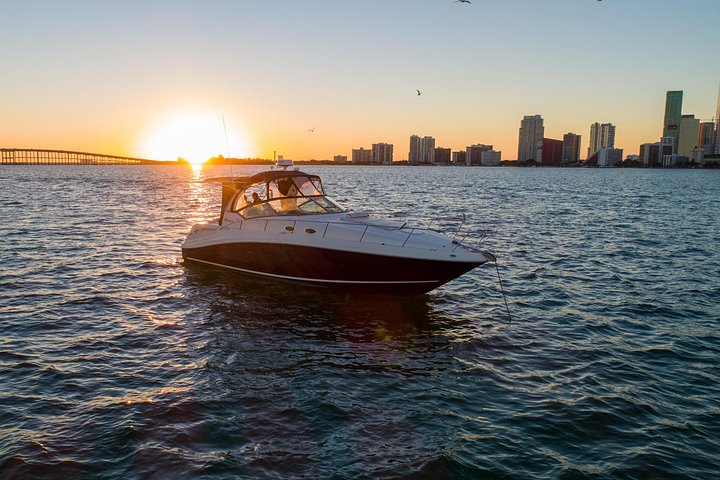 Private Yacht-Tour in Miami mit Stadt- und Flussblick, mit Annehmlichkeiten an Bord, Foto 16 | wizardtrip