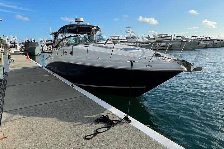 Private Yacht-Tour in Miami mit Stadt- und Flussblick, mit Annehmlichkeiten an Bord, Foto 18 | wizardtrip