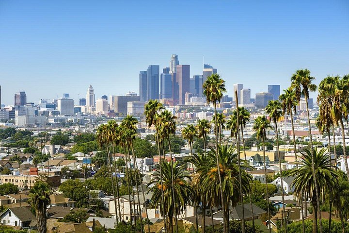 Een kleinschalige tour langs iconische bezienswaardigheden van Los Angeles zoals het Hollywood Sign en Rodeo Drive, foto 15 | wizardtrip