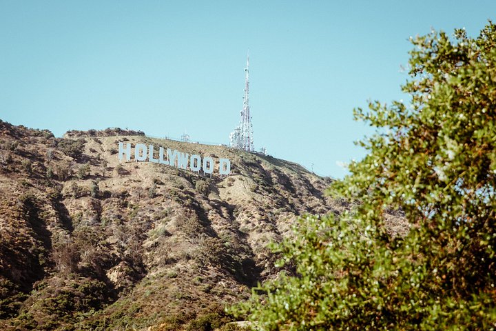 Een kleinschalige tour langs iconische bezienswaardigheden van Los Angeles zoals het Hollywood Sign en Rodeo Drive, foto 19 | wizardtrip