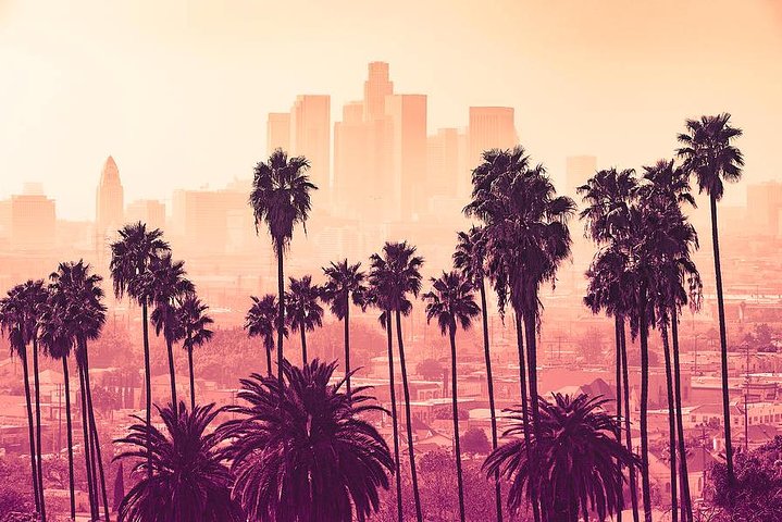 Een kleinschalige tour langs iconische bezienswaardigheden van Los Angeles zoals het Hollywood Sign en Rodeo Drive, foto 25 | wizardtrip