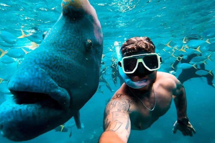 Heldagstur med sejlads og snorkling i Whitsundays, Australien, foto 7 | wizardtrip