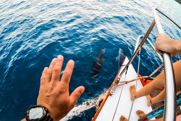 Heldagstur med sejlads og snorkling i Whitsundays, Australien, foto 9 | wizardtrip