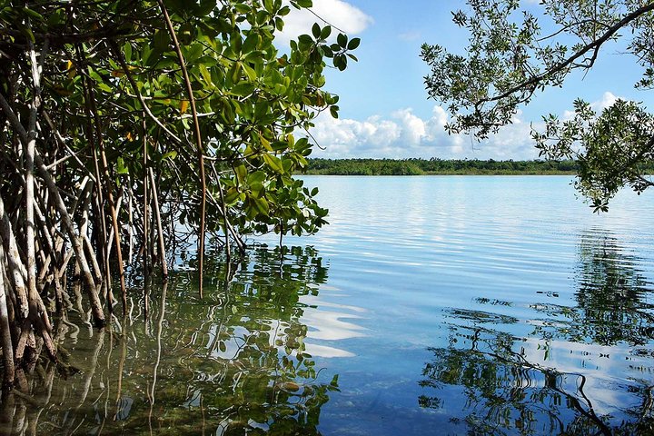 Utforska gamla Maya-ruiner och simma i det turkosa vattnet i Bacalar Lagoon på denna Costa Maya-tur, foto 16 | wizardtrip