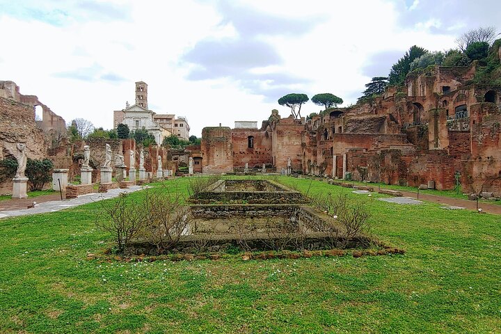 Tour guidato del Colosseo, Foro Romano e Colle Palatino di Roma, che mostra storia e architettura antica, foto 7 | wizardtrip
