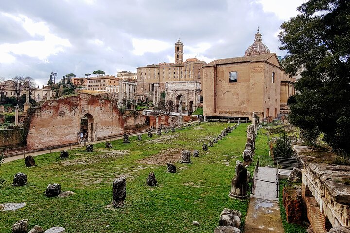 Tour guidato del Colosseo, Foro Romano e Colle Palatino di Roma, che mostra storia e architettura antica, foto 11 | wizardtrip