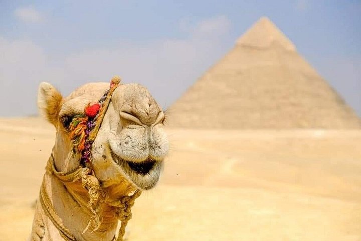 Privétour van de Piramides van Gizeh, Sfinx en kamelenrit in Caïro, Egypte, foto 6 | wizardtrip
