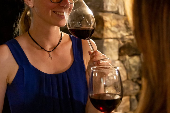 Wijnproeverij bij een wijnmakerij aan het Comomeer, Italië, met lokale wijnen en snacks, foto 7 | wizardtrip