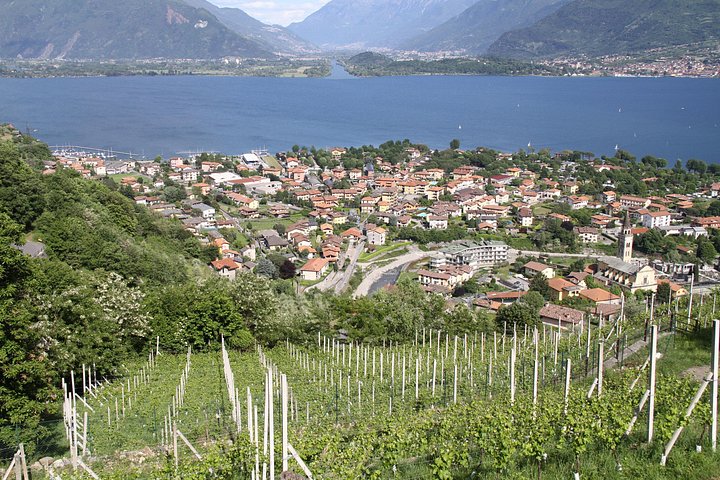 Wijnproeverij bij een wijnmakerij aan het Comomeer, Italië, met lokale wijnen en snacks, foto 12 | wizardtrip