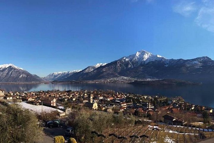Wijnproeverij bij een wijnmakerij aan het Comomeer, Italië, met lokale wijnen en snacks, foto 14 | wizardtrip