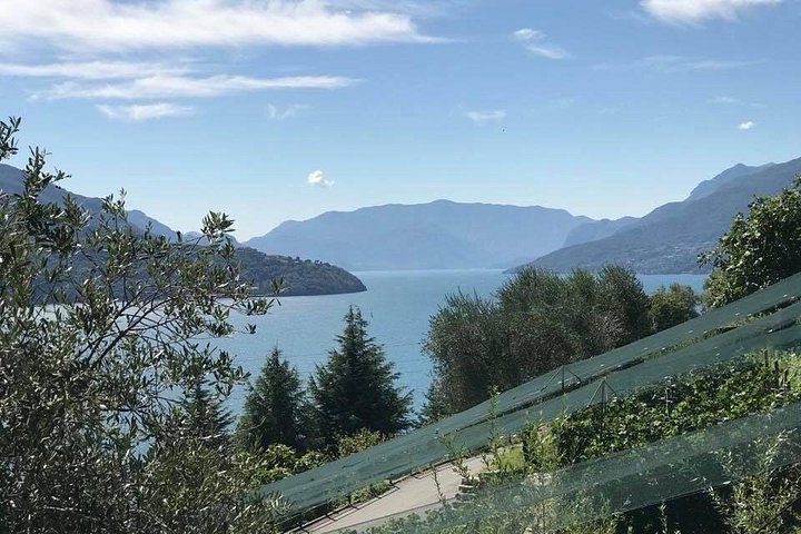 Wijnproeverij bij een wijnmakerij aan het Comomeer, Italië, met lokale wijnen en snacks, foto 15 | wizardtrip