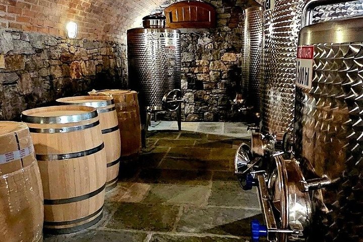 Wijnproeverij bij een wijnmakerij aan het Comomeer, Italië, met lokale wijnen en snacks, foto 16 | wizardtrip