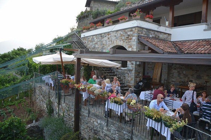 Wijnproeverij bij een wijnmakerij aan het Comomeer, Italië, met lokale wijnen en snacks, foto 22 | wizardtrip