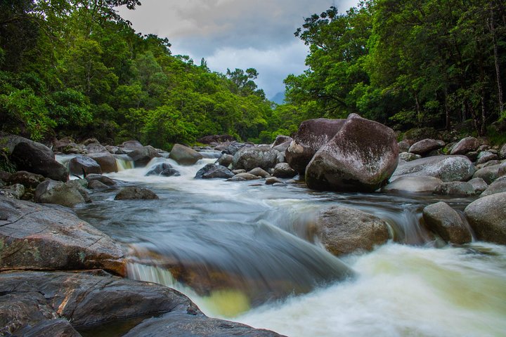 Cape Tribulation Day Tour | wizardtrip