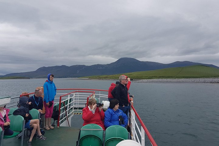 Passeio de barco panorâmico pelas ilhas da Clew Bay, farol e vida selvagem perto de Westport, Irlanda, foto 7 | wizardtrip