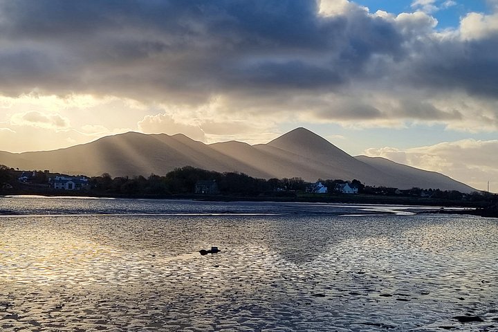 Passeio de barco panorâmico pelas ilhas da Clew Bay, farol e vida selvagem perto de Westport, Irlanda, foto 11 | wizardtrip
