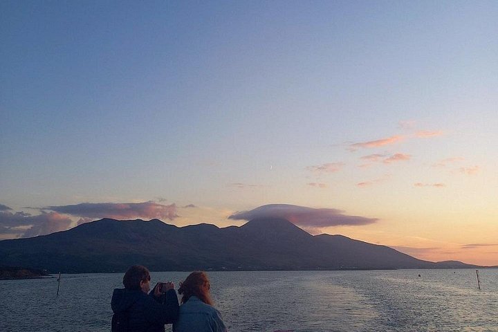 Passeio de barco panorâmico pelas ilhas da Clew Bay, farol e vida selvagem perto de Westport, Irlanda, foto 13 | wizardtrip