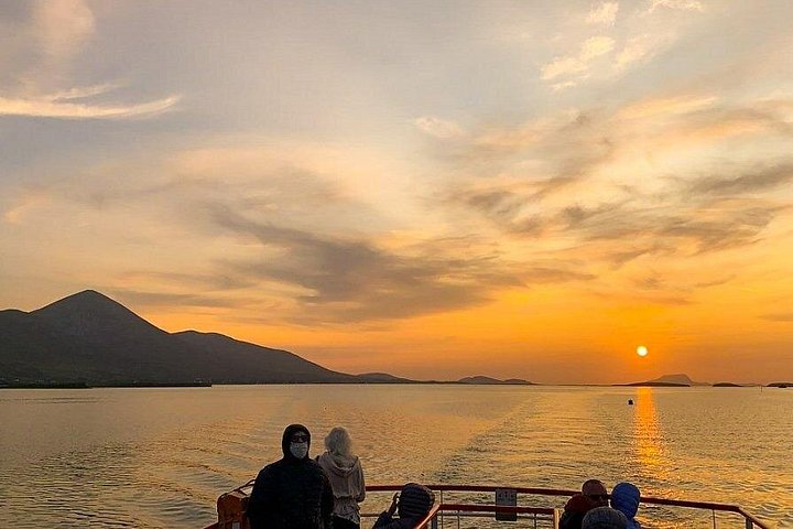 Passeio de barco panorâmico pelas ilhas da Clew Bay, farol e vida selvagem perto de Westport, Irlanda, foto 14 | wizardtrip
