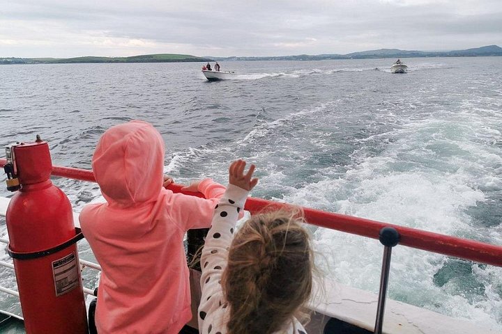 Passeio de barco panorâmico pelas ilhas da Clew Bay, farol e vida selvagem perto de Westport, Irlanda, foto 15 | wizardtrip